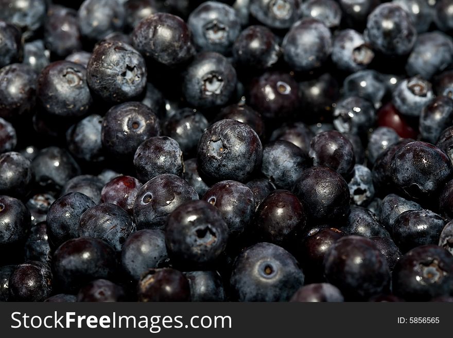 A closeup of fresh sweet blueberries