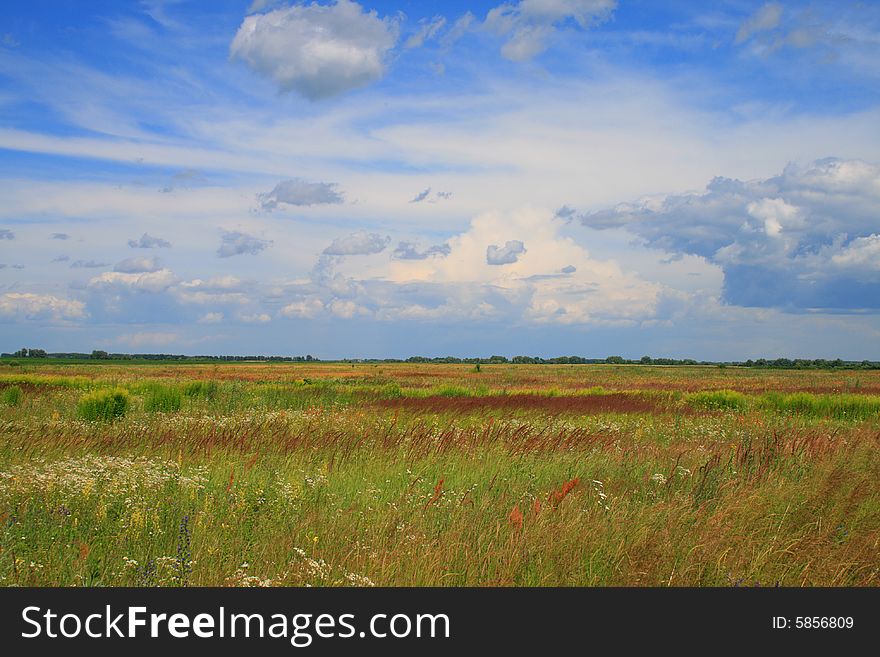 Wide meadow in good weather with the sky in beautiful clouds. Wide meadow in good weather with the sky in beautiful clouds
