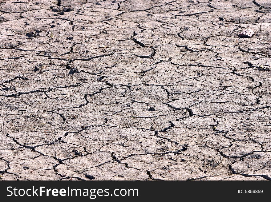 The withered ground. A drought. May be used as background.