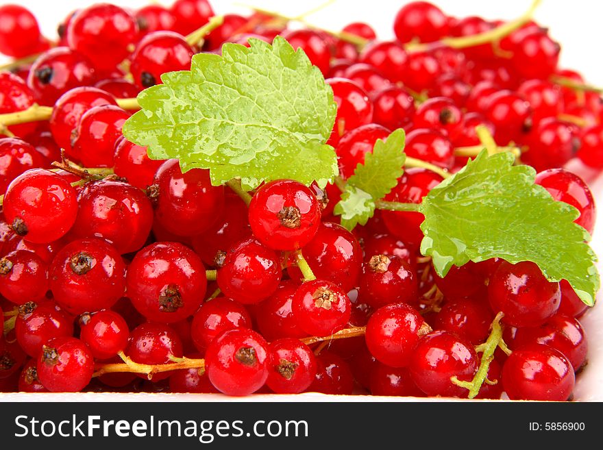 Very fresh and sweet red currants