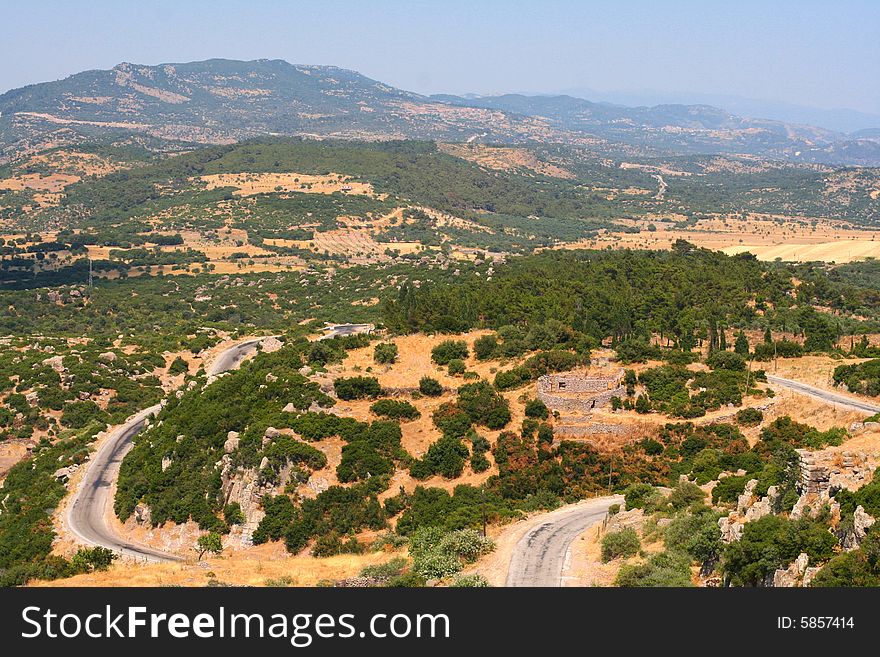 Hilly landscape with withered grass and green trees under the blue sky