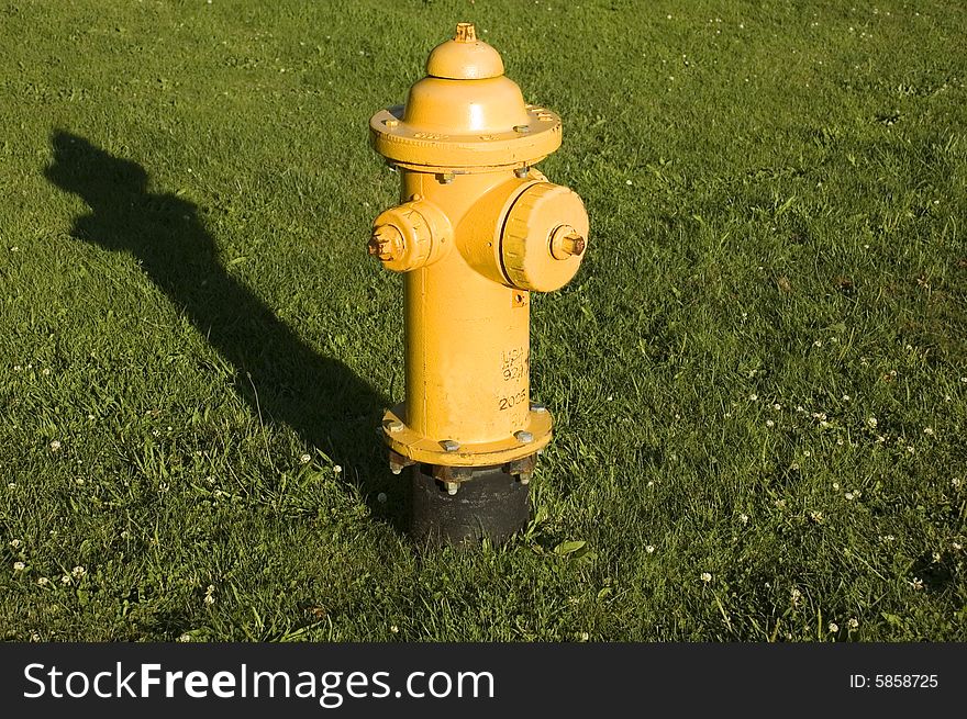 A yellow fire hydrant in the grass with a long shadow in the afternoon.