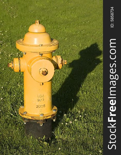 Fire Hydrant In Grass Vertical