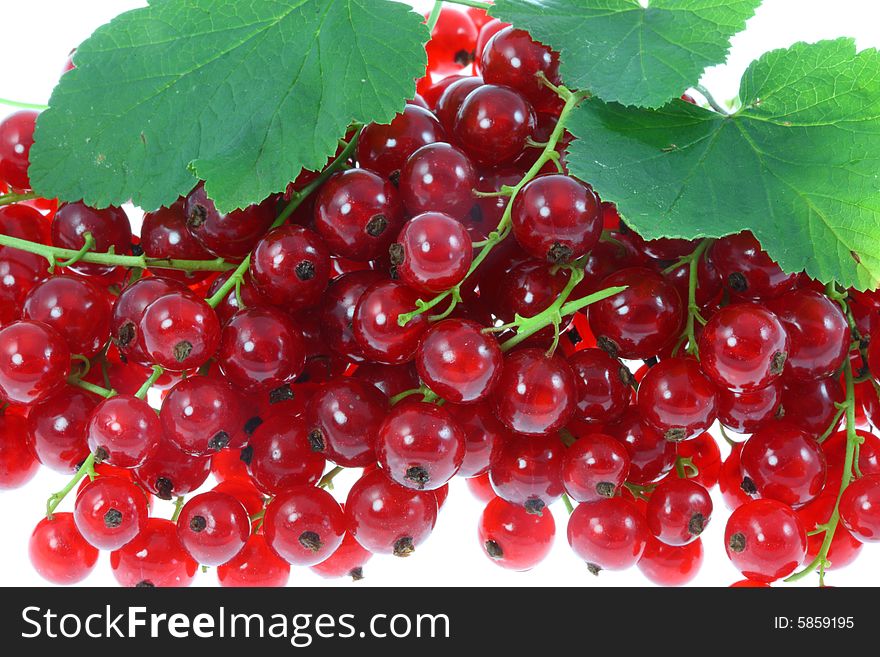 Red currants isolated on a white background. Red currants isolated on a white background.