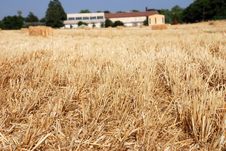 Hay Field Royalty Free Stock Image Hay Field Royalty Free Stock Image