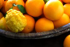 Oranges And Lemons In Basket Royalty Free Stock Photos Oranges And Lemons In Basket Royalty Free Stock Photos