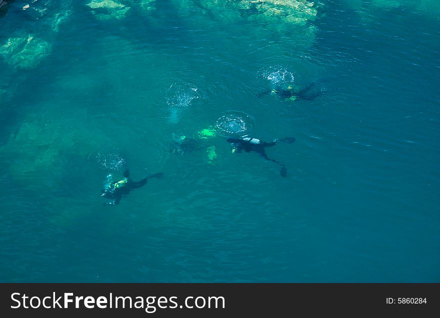 Divers in shallow water