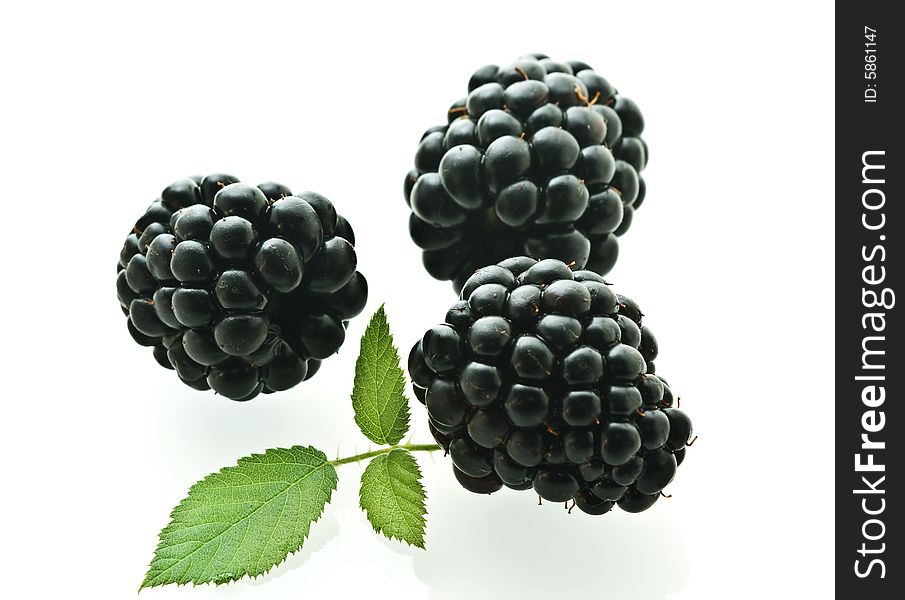 Three ripe fresh blackberries over white with light shadow