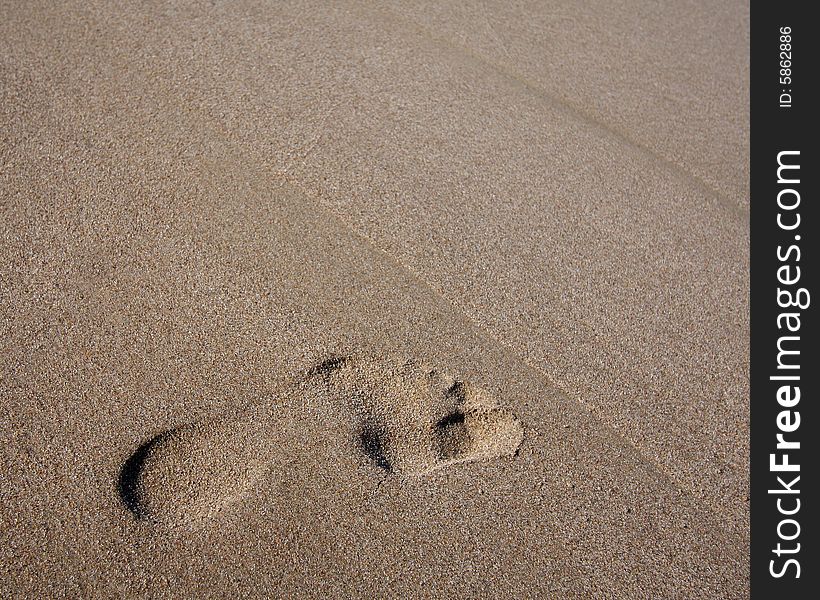 One footprint on the clean, sandy beach and lots of copyspace. One footprint on the clean, sandy beach and lots of copyspace.