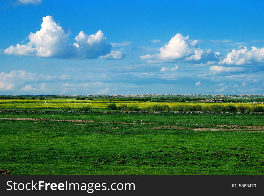 Beautiful, vast ï¼ŒPure Hulunbuir prairie