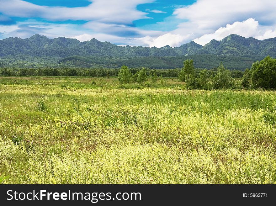 Field covered by grass and mountains. Field covered by grass and mountains