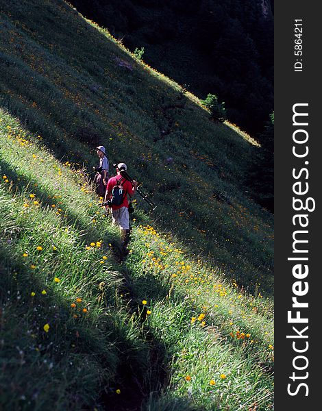 Nature photographers walking in a slope of wild flowers, xiaowutai mountain, china