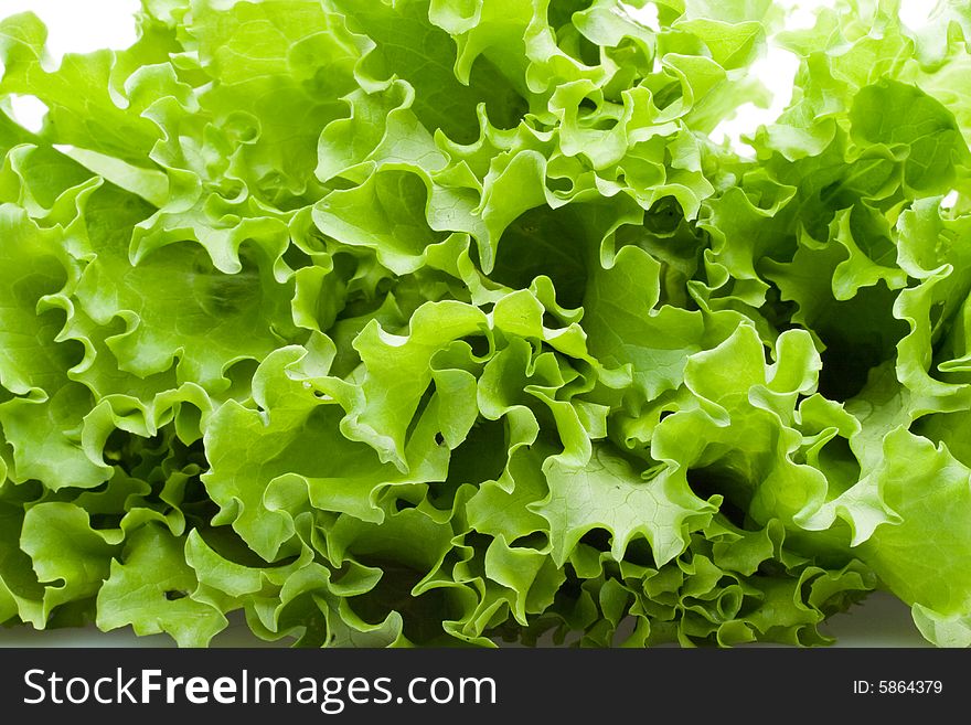 Background from fresh leaves of lettuce on a white