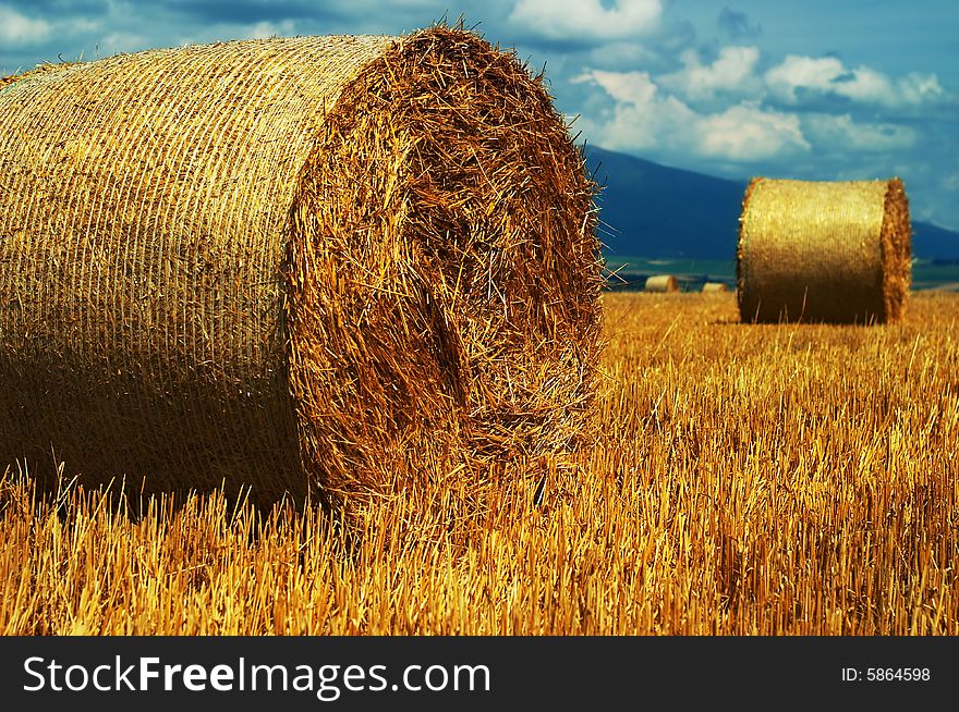 Autumn field in Liptov, Slovak Republic