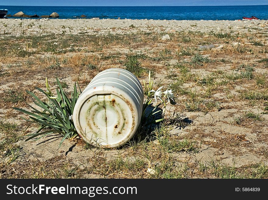 Plastic container abandoned on beach lying on flower plant