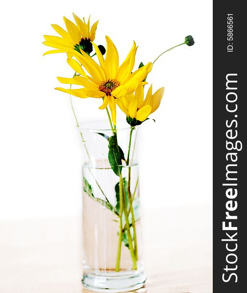 Yellow flower in a vase. Yellow flower in a vase