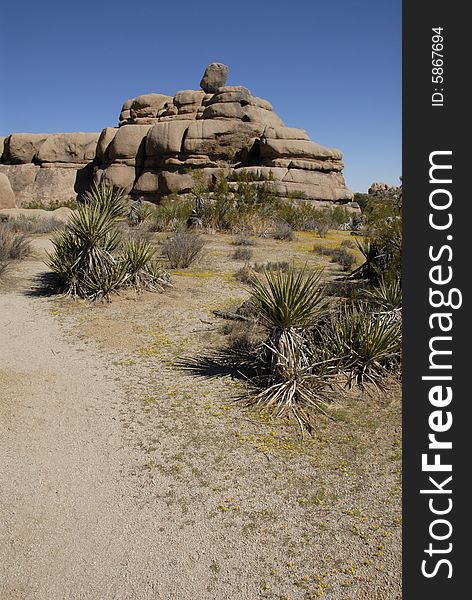 Rock Formations At Joshua Tree National Park, Cali