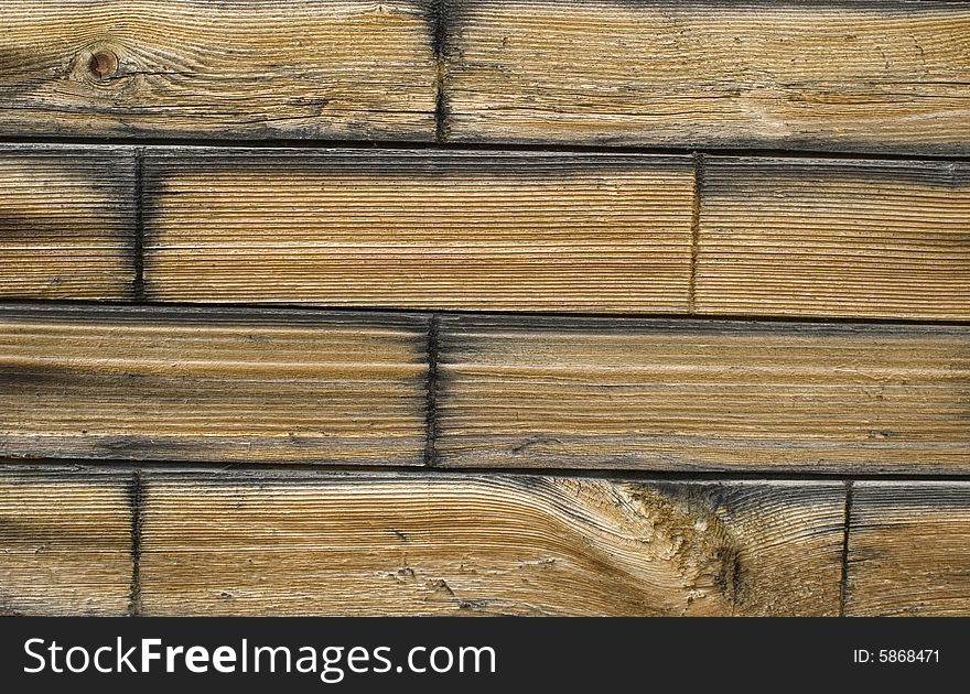 Wood texture background,old log. Wood texture background,old log.