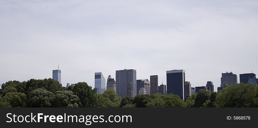 A skyscraper view from Central Park, NYC