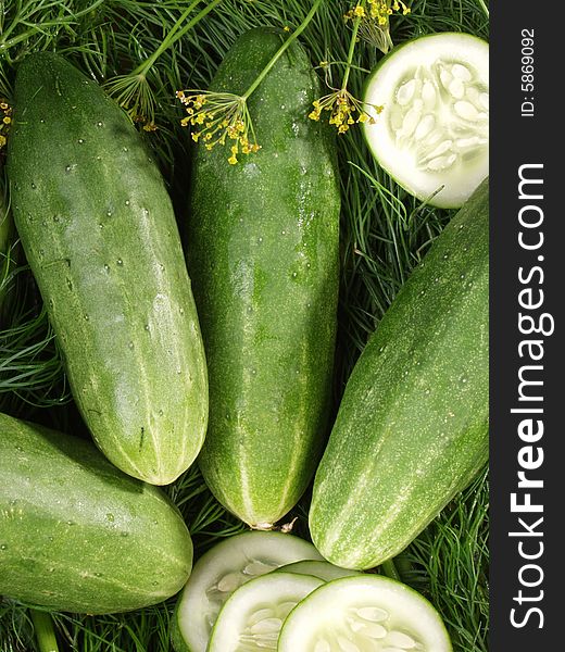 Composition from ripe cucumbers and ringlets on fennel