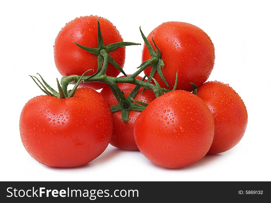 Red tomato Isolated on white. Red tomato Isolated on white