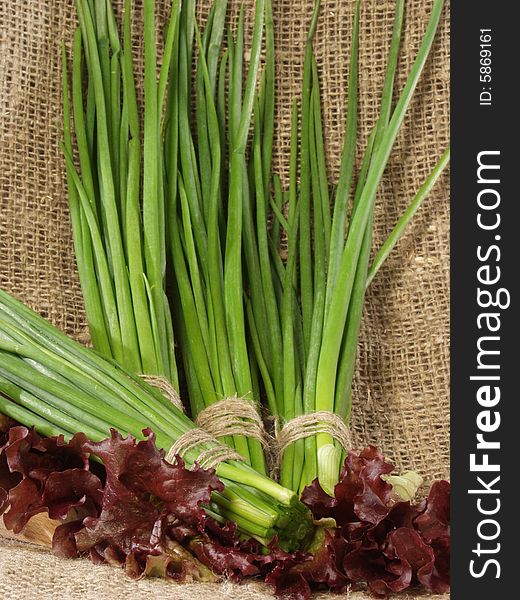 Bunches of the cut off green onions and leaves of salad on a sacking