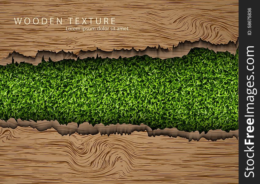 Template for the text from the wooden background with shadows and grass