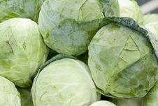 Green Cabbage Royalty Free Stock Photo Green Cabbage Royalty Free Stock Photo