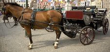 Horse And Carriage Royalty Free Stock Images