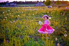 Child In A Flower Field Royalty Free Stock Images