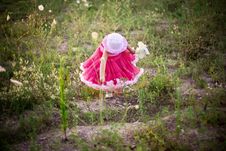 Child In A Flower Field Stock Images Child In A Flower Field Stock Images