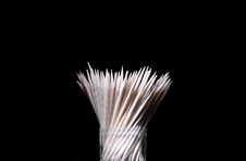 Toothpick Stock Photos Toothpick Stock Photos