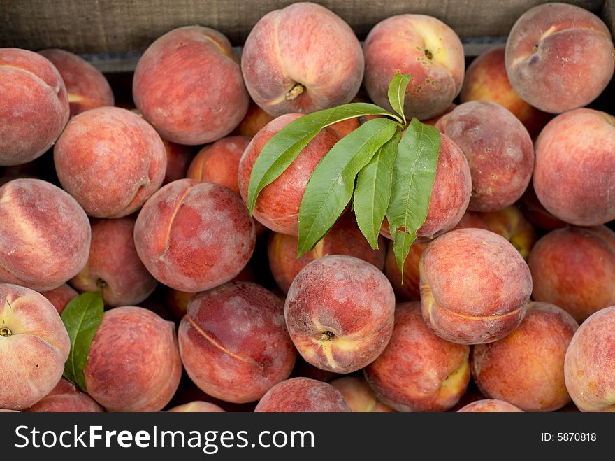 Beautiful peaches outside on a summer day.