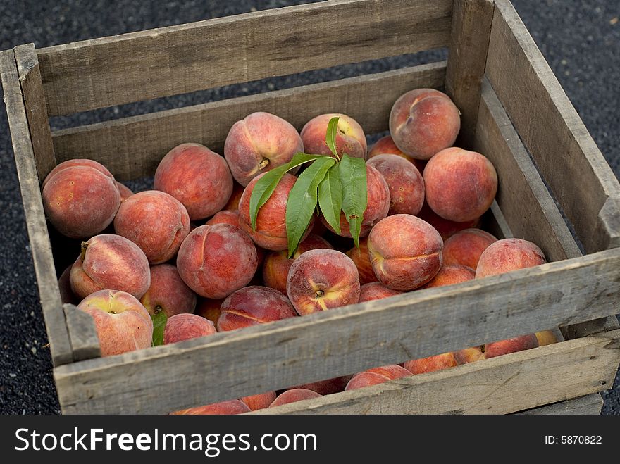 Beautiful peaches outside on a summer day.