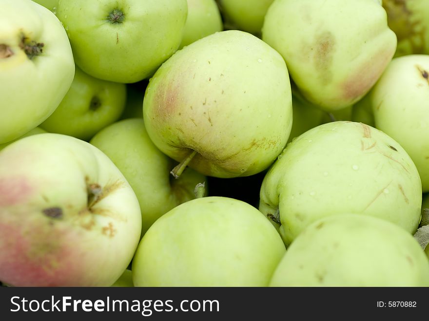 A group of beautiful green apples.