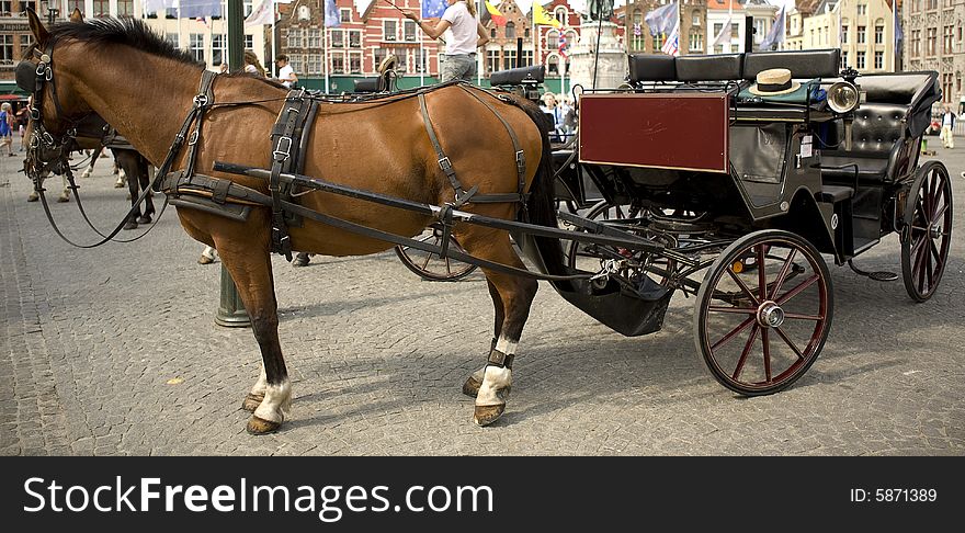 Horse and Carriage in town square waiting for hire