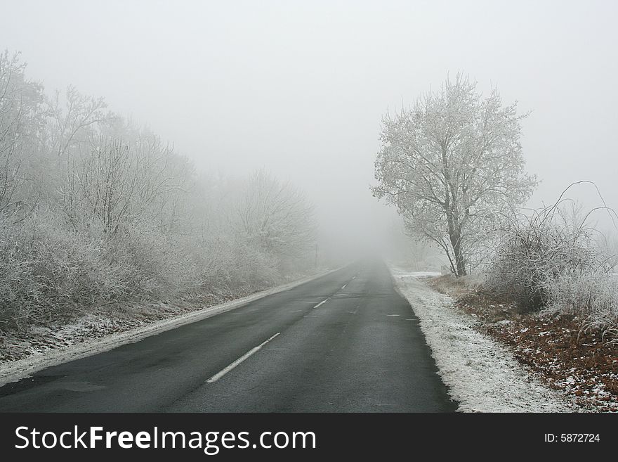 Foggy winter road with lonely tree
