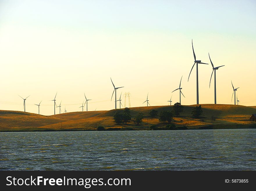Delta Wind Farm