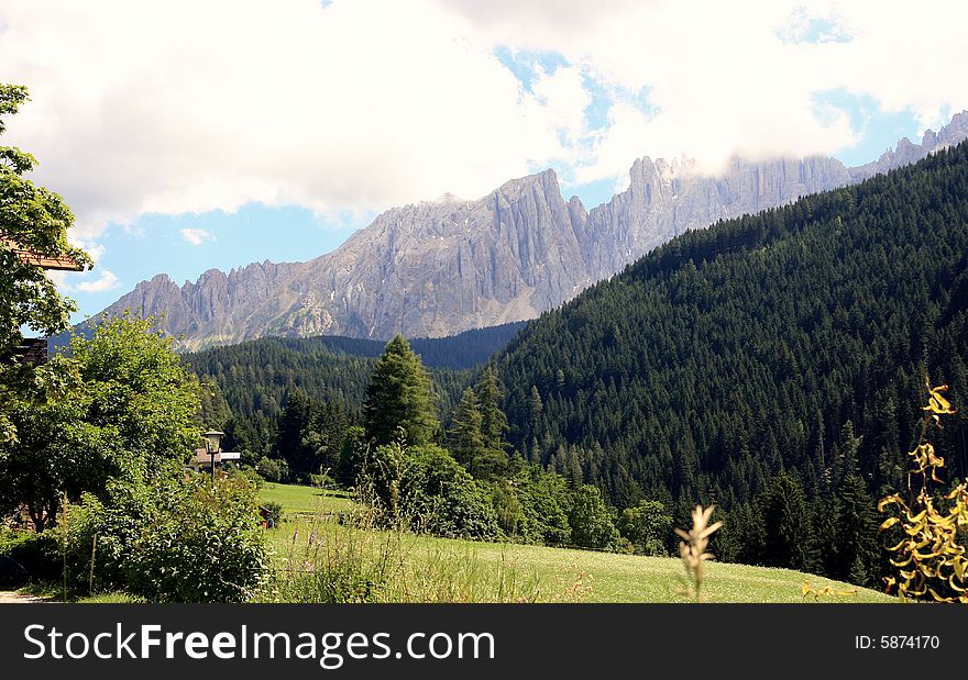 Sella mountain and woods