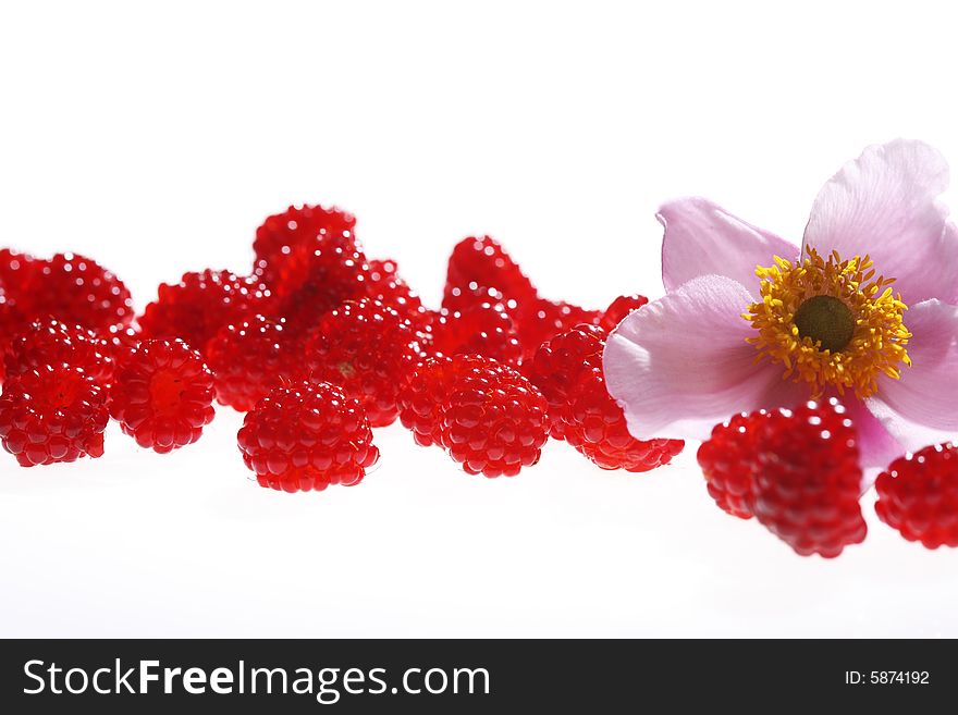 Highend shot of fresh raspberries