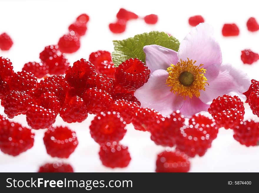 Highend shot of fresh raspberries. Highend shot of fresh raspberries