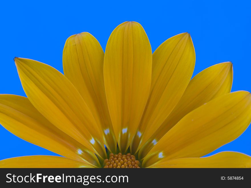 Abstract flower flower on blue background