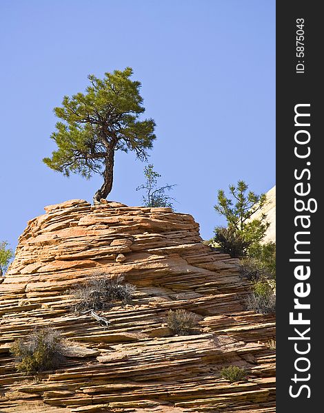 Zion National Park