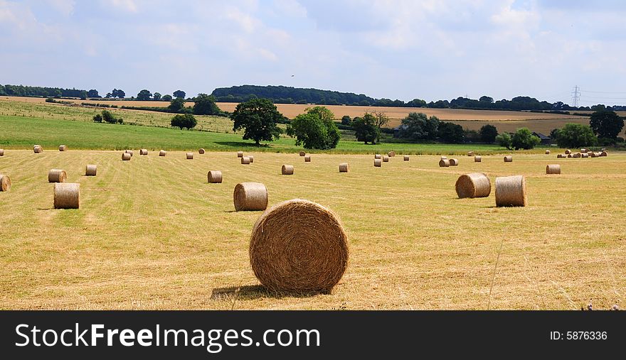 Summer scene of freshly harvested crop bales. Summer scene of freshly harvested crop bales