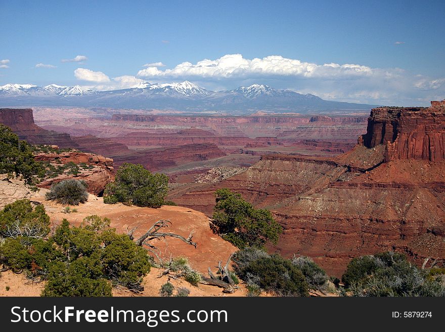 A view of Canyon Lands National Park with the La Sal Mountains in the background