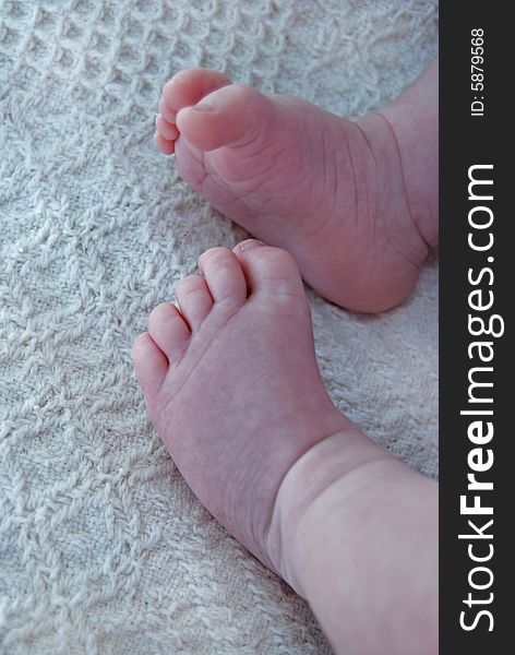 A newborn's pair of feet on a blanket. A newborn's pair of feet on a blanket.