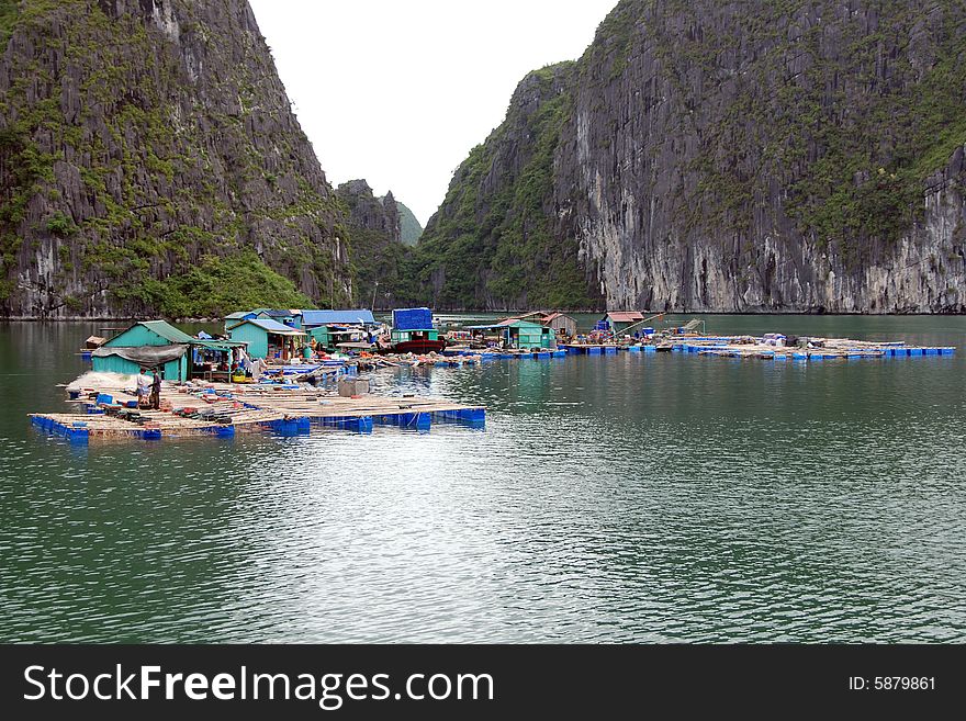 A floating fisherman's village in ha long bay, northern vietnam. A floating fisherman's village in ha long bay, northern vietnam