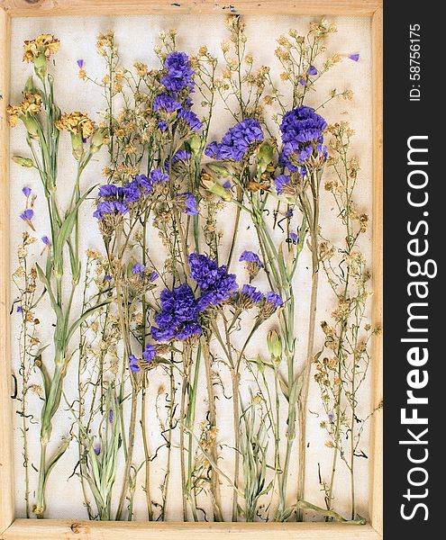 Vintage image of dried flowers in the canvas frame