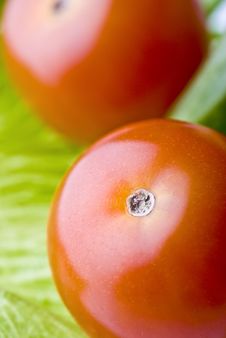 Tomato And Salad Royalty Free Stock Image Tomato And Salad Royalty Free Stock Image