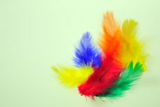 Colourful Feathers Stock Photo Colourful Feathers Stock Photo
